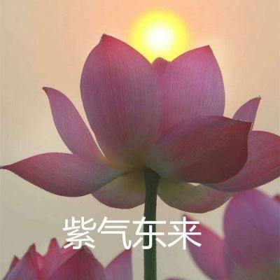 镇魂将守护三国游戏